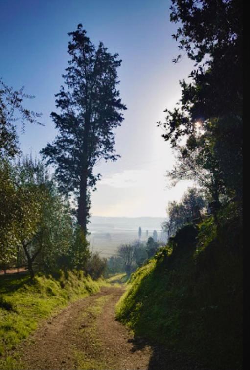 Agriturismo La Pineta Fucecchio Esterno foto