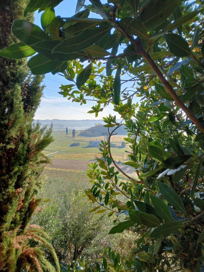 Agriturismo La Pineta Fucecchio Esterno foto